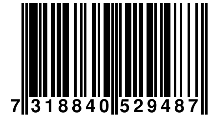 7 318840 529487