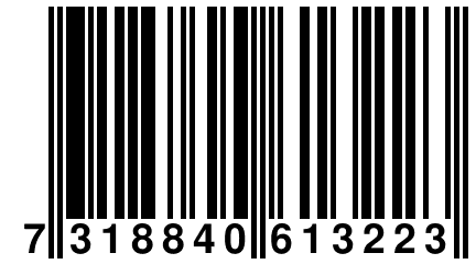 7 318840 613223