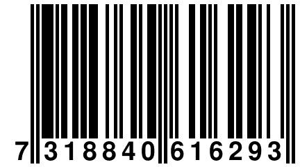 7 318840 616293