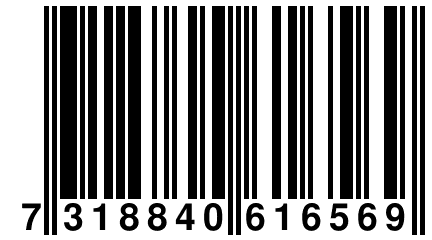 7 318840 616569