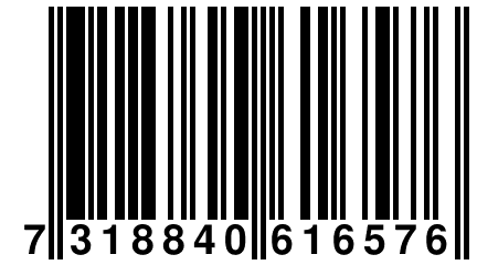 7 318840 616576