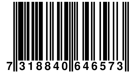 7 318840 646573