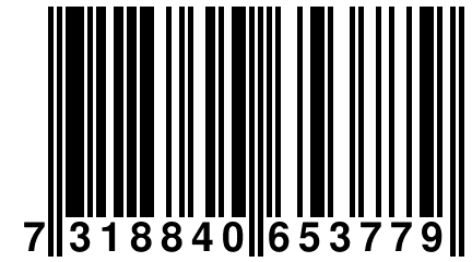 7 318840 653779