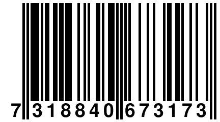 7 318840 673173