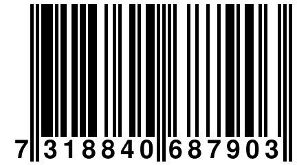 7 318840 687903