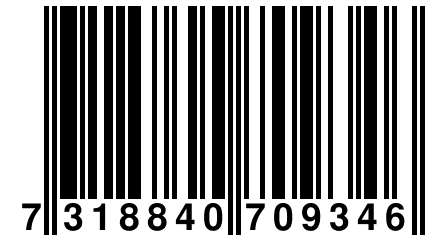 7 318840 709346