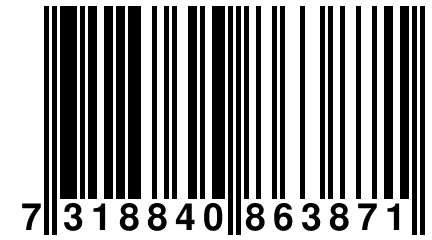 7 318840 863871