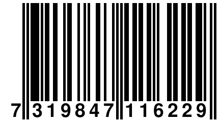 7 319847 116229