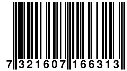 7 321607 166313