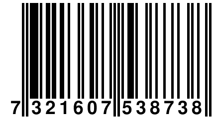 7 321607 538738