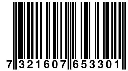 7 321607 653301