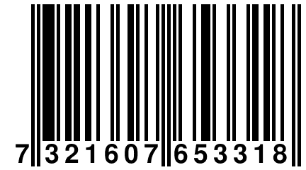 7 321607 653318