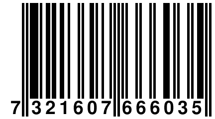 7 321607 666035