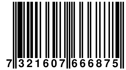 7 321607 666875