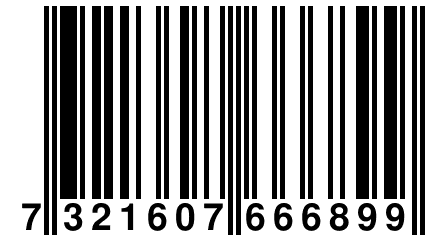 7 321607 666899