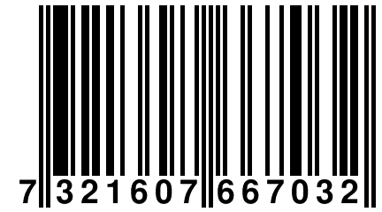 7 321607 667032