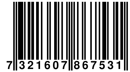 7 321607 867531