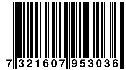 7 321607 953036