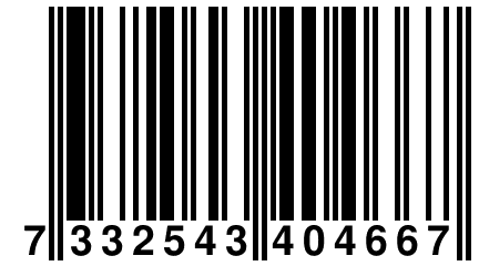 7 332543 404667