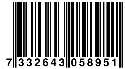 7 332643 058951