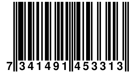 7 341491 453313