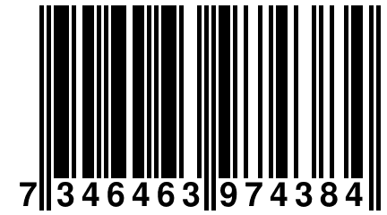 7 346463 974384