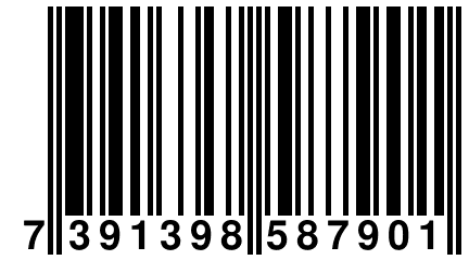 7 391398 587901