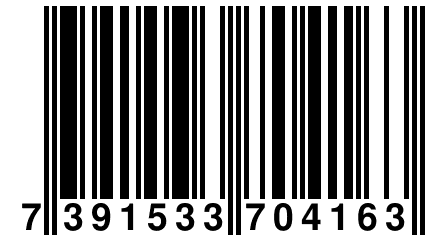 7 391533 704163