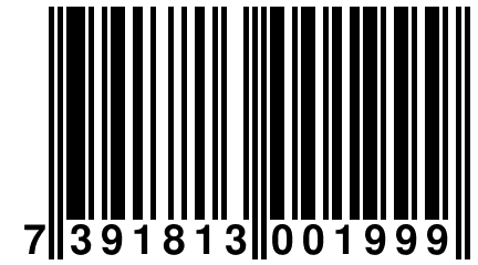 7 391813 001999