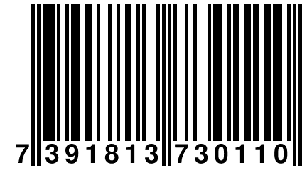 7 391813 730110