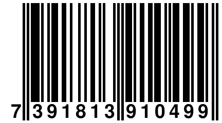 7 391813 910499