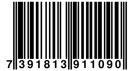 7 391813 911090