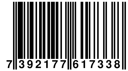 7 392177 617338