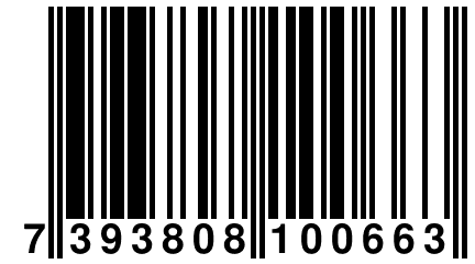 7 393808 100663