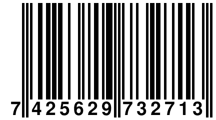 7 425629 732713