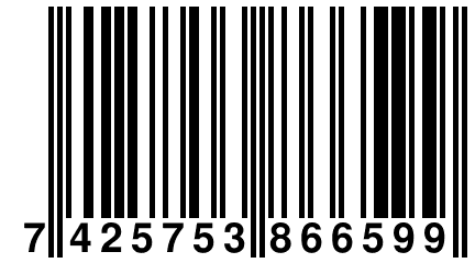 7 425753 866599