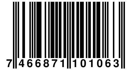 7 466871 101063