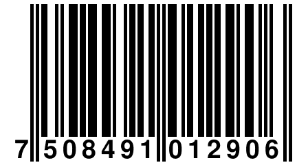 7 508491 012906