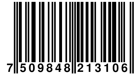 7 509848 213106