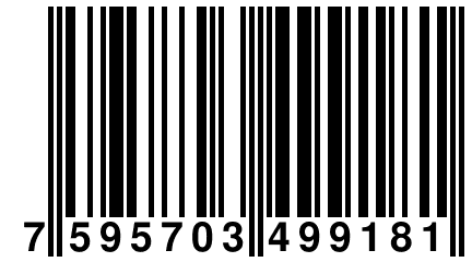 7 595703 499181