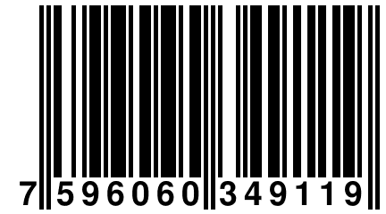 7 596060 349119