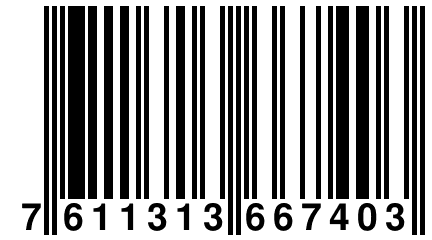 7 611313 667403