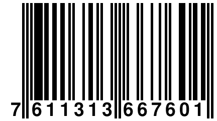 7 611313 667601