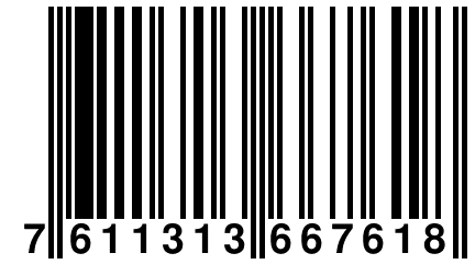 7 611313 667618