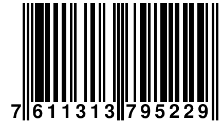 7 611313 795229