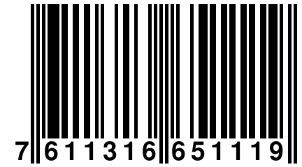 7 611316 651119