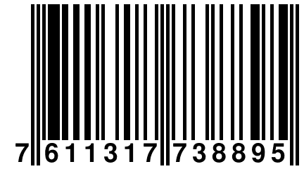 7 611317 738895