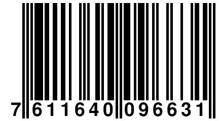 7 611640 096631