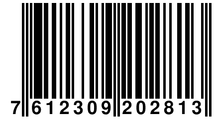 7 612309 202813