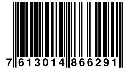 7 613014 866291